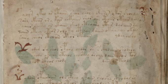 Tajemství historie: Voynichův rukopis