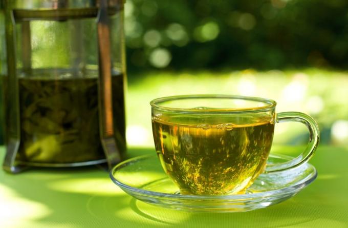 Návyky, které vám pomohou zhubnout: pít zelený čaj