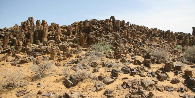 Sousední země: Stone Lesní Bissekty formace v Uzbekistánu