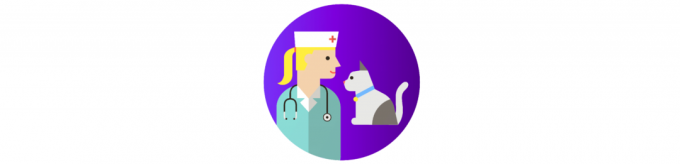 Jak pečovat o kočku: návštěva veterináře