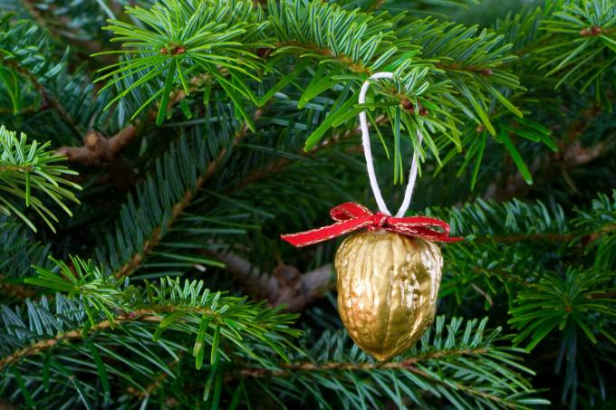 Zdobení vánočního stromu vlašský ořech