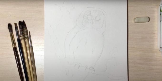 Jak nakreslit sovu: zobrazte drápy, oči a větev