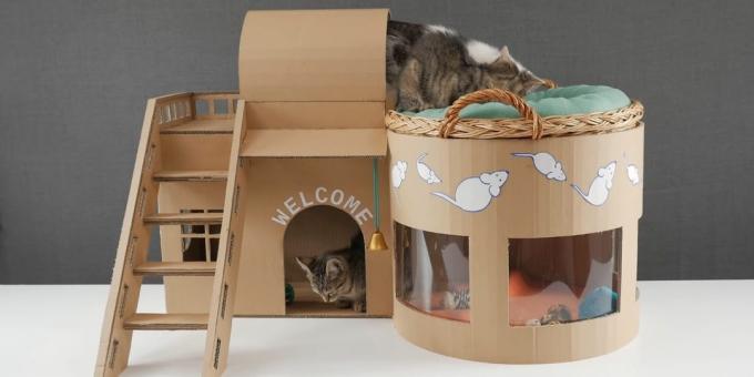 Jak vyrobit dvoupatrový dům pro kočky po vybalení z krabice s rukama