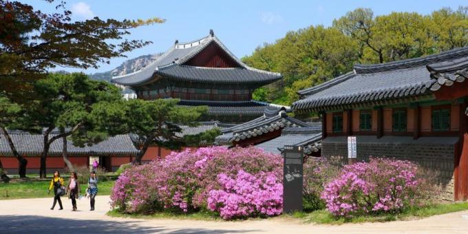 Atrakce Jižní Korea
