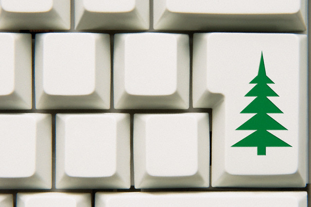 živý vánoční stromek - uložil internetový obchod