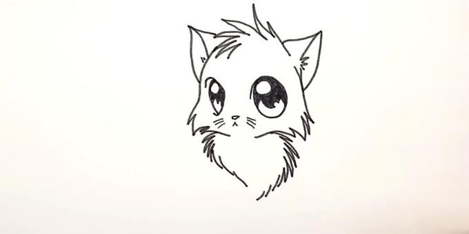 Jak nakreslit anime kočka: V dolní části kličkování a přerušované čáry malovat na nadýchaný prsu