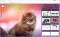 My Cats - šik těsnění ve vašem prohlížeči Chrome