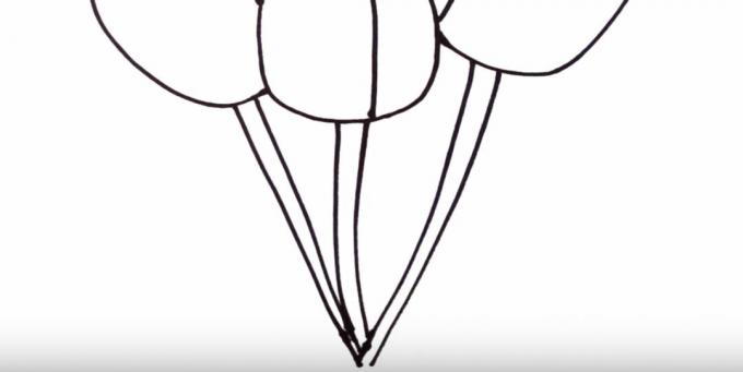 Jak nakreslit tulipán: nakreslete stonky