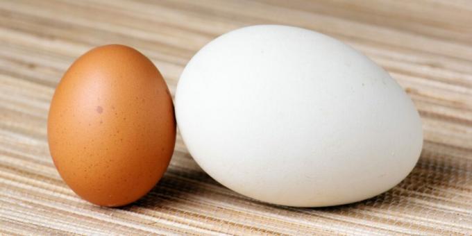 Kolik vařit husí vejce