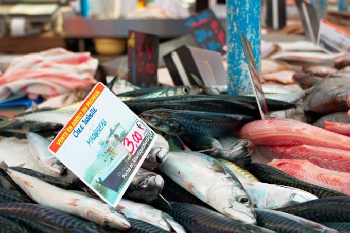 Výhody rybího větší než škoda, rtuti v ní obsažené