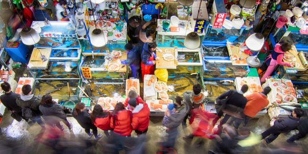 Atrakce Jižní Korea: je nutné navštívit rybí trh