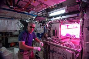 Salát ve vesmíru. Astronauti pěstovat rostliny na ISS a proč je to důležité