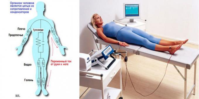 Analýza bioimpedanční tělo zařízení „MEDASS“