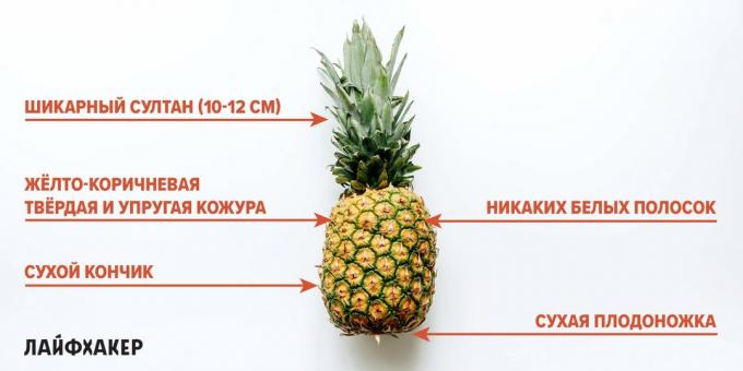 Jak si vybrat ananas: náznaky zralého ananasu