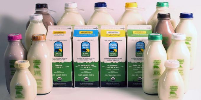 mýty o jídle: mléčné výrobky